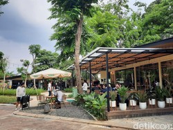 Baru Nih, Sensasi Nongkrong di Kafe Tengah Hutan Jaksel