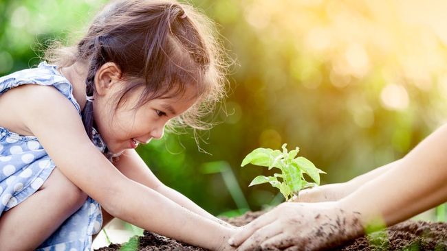 Peran Alam dalam Kehidupan Sehari-hari Warga Sikabau