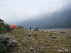Jorok! Celana Dalam Kotor Ditemukan di Puncak Gunung Gede Pangrango