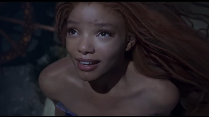 Pro Kontra Netizen soal Pemeran Ariel Halle Bailey di Film Live Action The Little Mermaid
