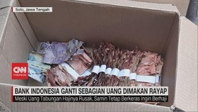 VIDEO: Bank Indonesia Ganti Sebagian Uang yang Dimakan Rayap