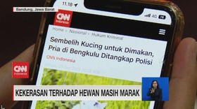 VIDEO: Kekerasan Terhadap Hewan Masih Marak