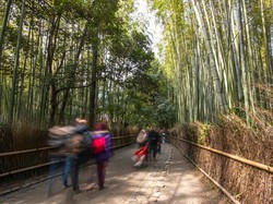 Jepang Catat Pembatalan Hotel Massal di Tahun Baru Imlek