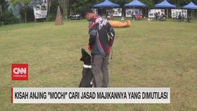 VIDEO: Kisah Anjing 