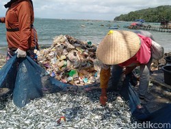 Pangandaran Tercemar, Nelayan Pilah Sampah di Antara Ikan Tangkapan