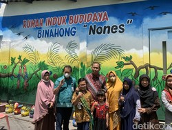 Hebat! Siswa SD Kelas 3 Surabaya Budidaya 11.898 Tanaman Binahong
