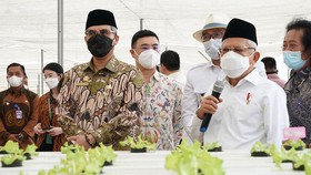 Wamentan: Green Farm Bentuk Kolaborasi Pertanian dan Teknologi