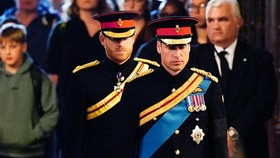 Harry dan Pangeran William Masih Sulit Akrab Selama Masa Berduka