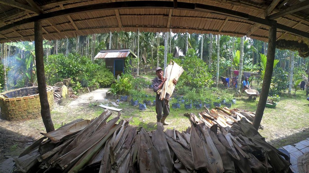 FOTO: Menyulap Limbah Pelepah Pinang Jadi Briket