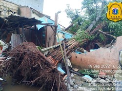 Pohon Tumbang Timpa Rumah di Jagakarsa Jaksel