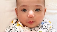 <p>Kini, <em>Baby</em> Don sudah berusia 4 bulan, Bunda. Ia pun telah menjadi idola banyak netizen, lho. (Foto: Instagram: @inijedar)</p>