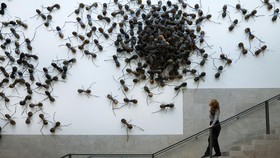 FOTO: Semut-semut Raksasa di Dinding Rijksmuseum