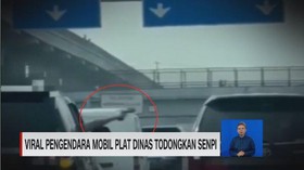 VIDEO: Viral Pengendara Mobil Plat Dinas Todongkan Senpi