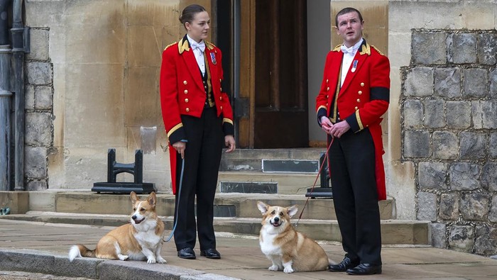 WINDSOR, ENGLAND - SEPTEMBER 19: Members of the Royal Household stand with the Queen's royal Corgis, Muick and Sandy as they await the wait for the funeral cortege on September 19, 2022 in Windsor, England. The committal service of Queen Elizabeth II at St George's Chapel, Windsor Castle, took place following the state funeral at Westminster Abbey. A private burial in The King George VI Memorial Chapel followed. Queen Elizabeth II died at Balmoral Castle in Scotland on September 8, 2022, and is succeeded by her eldest son, King Charles III. (Photo by Justin Setterfield/Getty Images)
