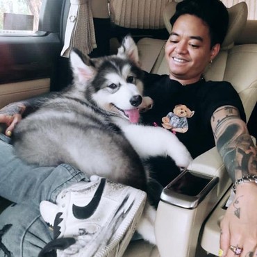 Jalani Proses Cerai dengan Wendy Walters, Reza Arap: Gua Lagi Enjoy