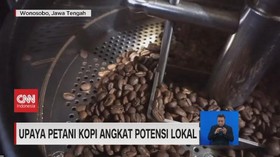 VIDEO: Upaya Petani Kopi Angkat Potensi Lokal