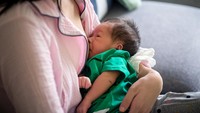 Bayi Terus Menyusu Seolah Belum Kenyang? Mungkin Ia Alami Growth Spurt Bun