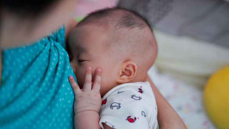 Ibu Menyusui Ibu Menyusui