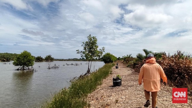 Anggota DPR RI Dapik Provinsi Kalimantan Timur Rudy Mas'ud membujuk penduduk pemilik lahan di sekitar Ibu Kota Nusantara (IKN) tidak menjual lahan mereka.