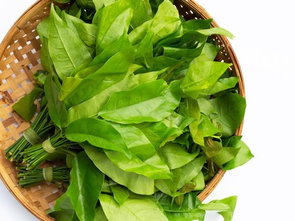5 Manfaat Daun Melinjo untuk Ibu Hamil dan Resep Mengolahnya