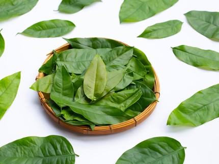 4 Manfaat Daun Melinjo untuk Kehamilan dan Tips Mengolahnya