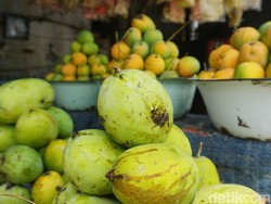 5 Rekomendasi Oleh-oleh Indramayu, Nikmatnya Kelezatan Khas Pantura
