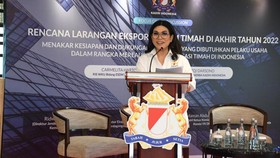Dukung Setop Ekspor Timah, Kadin Minta Hilirisasi Dilakukan Bertahap
