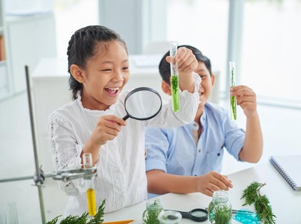 10 Bagian Penting pada Struktur Sel Tumbuhan, Si Kecil Perlu Tahu