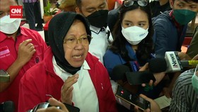 VIDEO: Diusulkan Maju Pilkada DKI, RIsma:  Aku Nggak Pernah Tertarik