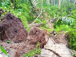 Banjir dan Longsor Terjang Cianjur