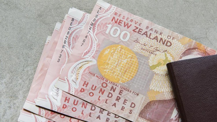 one hundred dollars bank note of new zealand