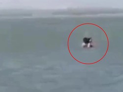 Turis Berhubungan Seks di Pantai Kena Denda Rp 1,8 Juta