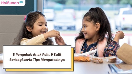 Detik Network