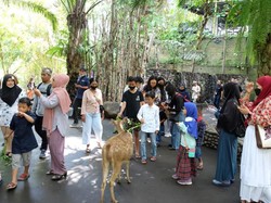 GERAK BS Beri Santunan & Ajak Anak Yatim Nikmati Bali Zoo