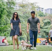 Destinasi Slow Living, Nikmati Ketenangan di 5 Kota Ini untuk Hidup Santai dan Damai