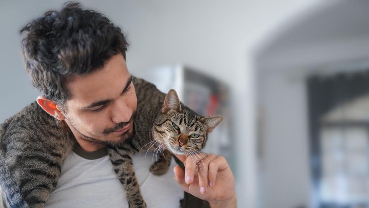 Ilustrasi Kucing young man interacts with pets