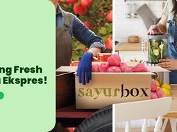 Jelang Lebaran, Sayurbox PHK Karyawan Lagi