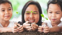 5 Bagian Tumbuhan dan Fungsinya untuk Dipelajari Si Kecil