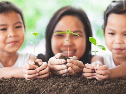 5 Bagian Tumbuhan dan Fungsinya untuk Dipelajari Si Kecil