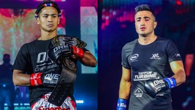 Tayfun Ozcan, Kandidat Juara Dunia ONE yang Pernah Jadi Korban KDRT