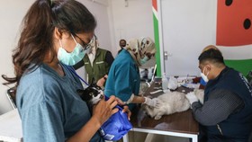 Jangan Tunggu Gejala Rabies jika Digigit Anjing, 99 Persen Meninggal