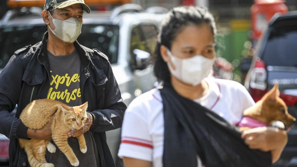 FOTO: Sambut Hari Rabies Sedunia, Hewan Dapat Vaksinasi Gratis