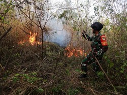 Awas! Jangan Buka Lahan Sembarangan di TN Gunung Ciremai