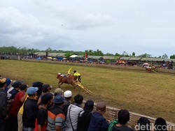 Wabah PMK Landai, Karapan Sapi Piala Presiden di Bangkalan Digelar Lagi