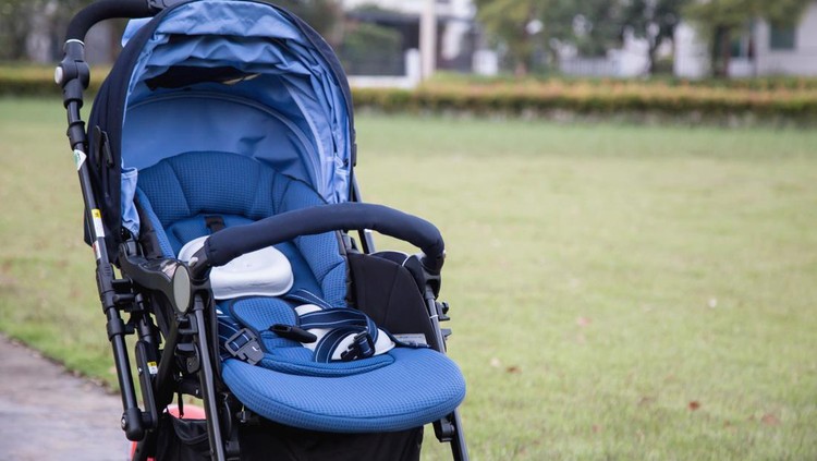 stroller carriage for baby in the garden