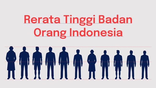 Infografis Berapa Rata Rata Tinggi Badan Orang Indonesia Passiontoprofit 