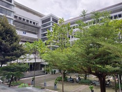 5 Universitas di Indonesia Ini Punya Hutan di Dalam Kampus, Ada UI-UGM