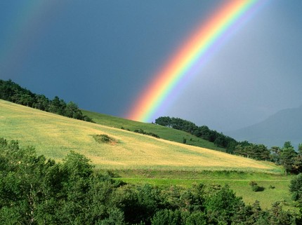 Warna Pelangi Favorit Pilihan Bunda Bisa Mengungkap Karakter, Coba Kuis Ini deh!