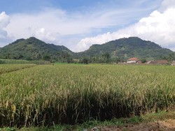 Mitos Suara Gong Gamelan di Gunung Goong Sukabumi