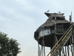 5 Rumah Adat Suku Dayak, Ada Lamin hingga Betang Tambaba